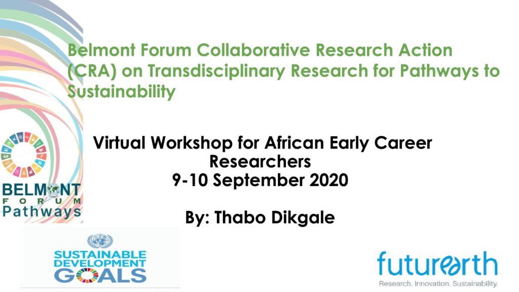 African Early Career Researchers Network and Train on Pathways to Sustainability