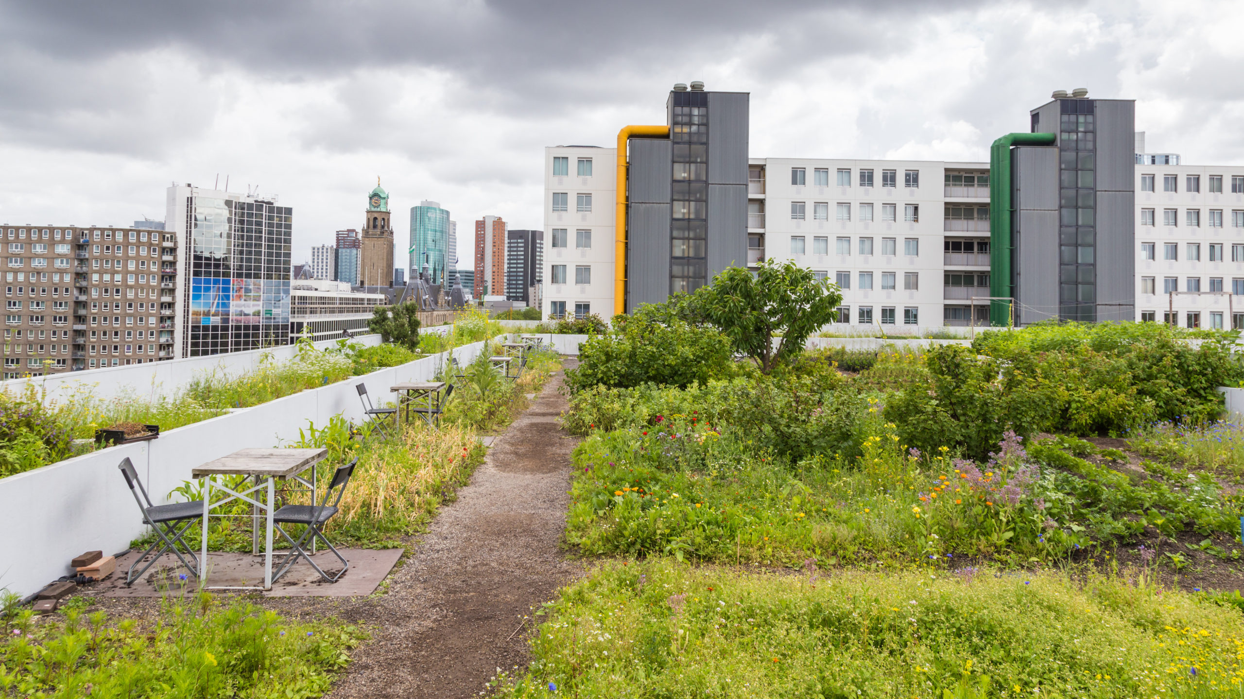 An urban rooftop garden