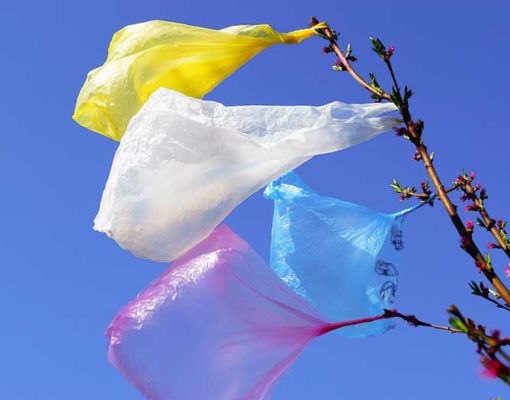 1. plastic-bags-in-wind